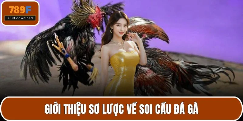 Giới thiệu sơ lược về soi cầu đá gà